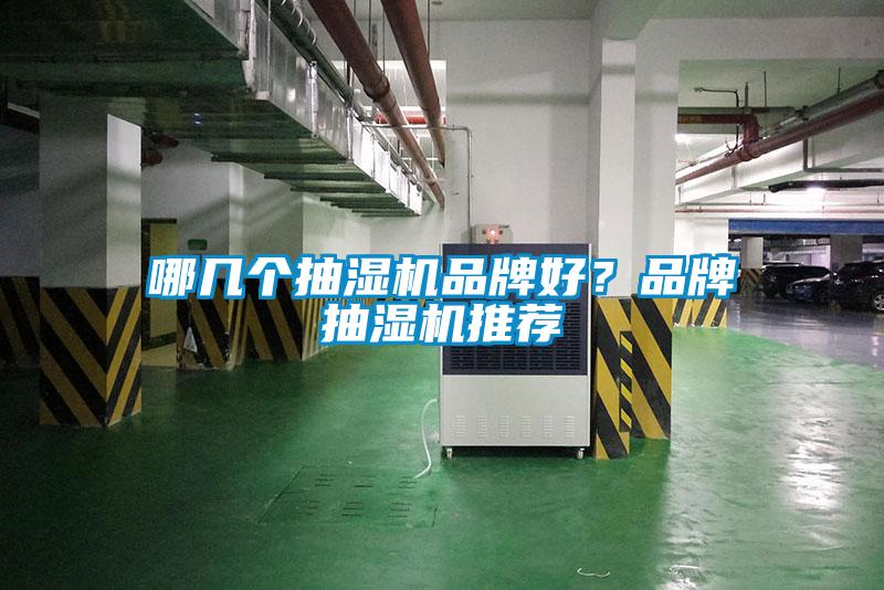 哪幾個抽濕機品牌好？品牌抽濕機推薦