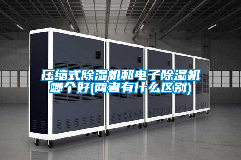 壓縮式除濕機和電子除濕機哪個好(兩者有什么區(qū)別)