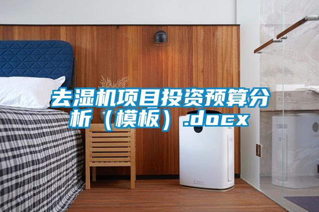 去濕機(jī)項目投資預(yù)算分析（模板）.docx