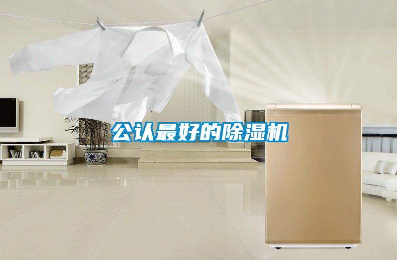 公認最好的除濕機