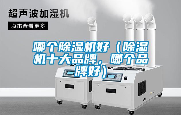 哪個除濕機好（除濕機十大品牌，哪個品牌好）
