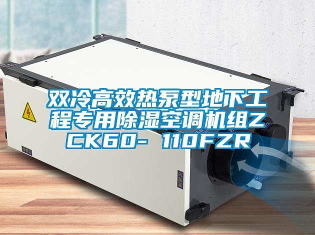 雙冷高效熱泵型地下工程專用除濕空調(diào)機組ZCK60- 110FZR