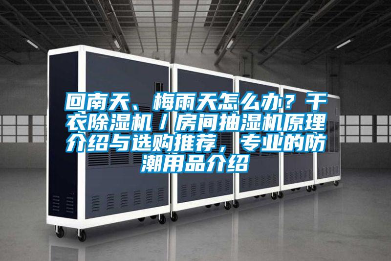 回南天、梅雨天怎么辦？干衣除濕機／房間抽濕機原理介紹與選購推薦，專業的防潮用品介紹