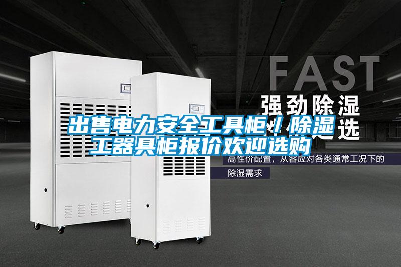 出售電力安全工具柜／除濕工器具柜報價歡迎選購