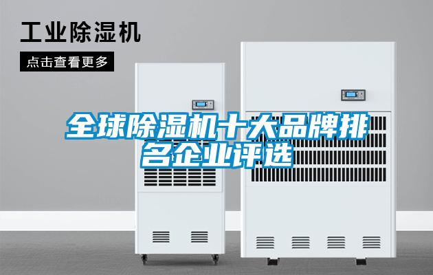 全球除濕機十大品牌排名企業評選