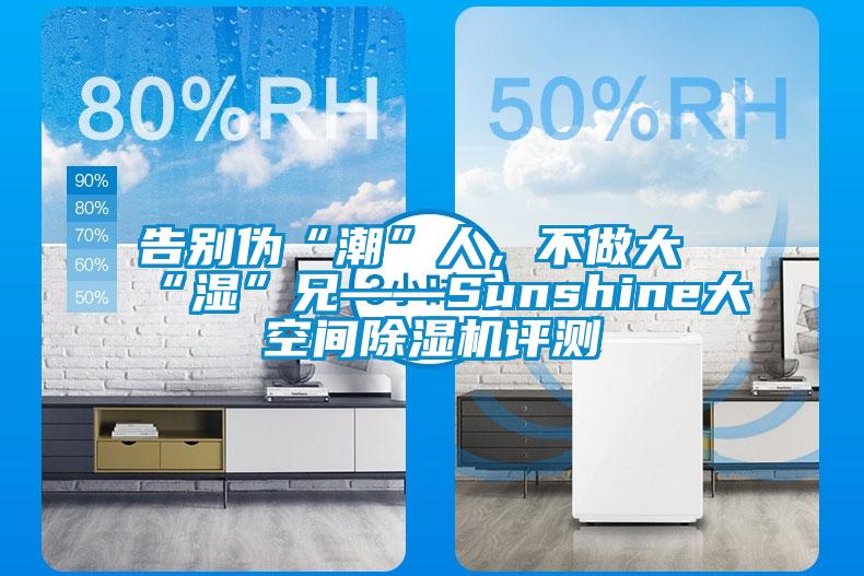 告別偽“潮”人，不做大“濕”兄——Sunshine大空間除濕機評測