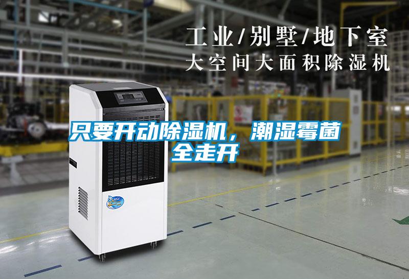 只要開動除濕機，潮濕霉菌全走開