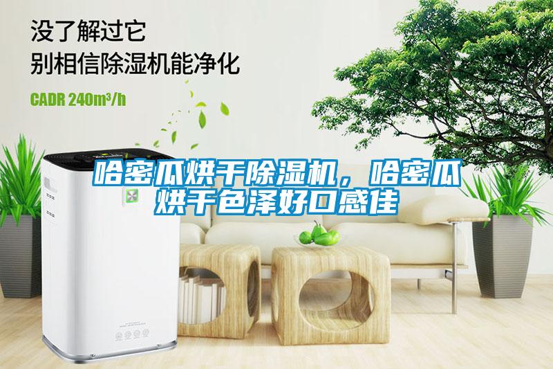 哈密瓜烘干除濕機，哈密瓜烘干色澤好口感佳