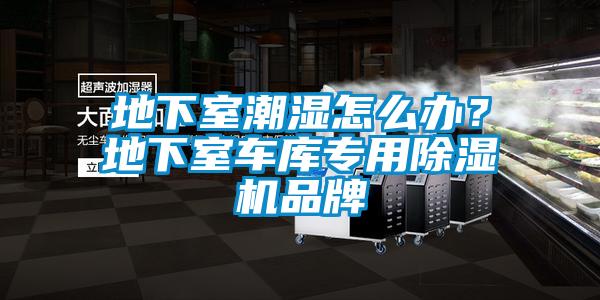 地下室潮濕怎么辦？地下室車庫專用除濕機品牌