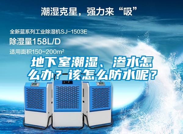 地下室潮濕、滲水怎么辦？該怎么防水呢？