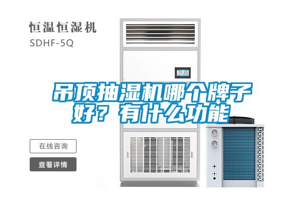 吊頂抽濕機哪個牌子好？有什么功能