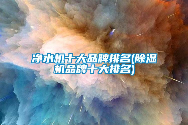 凈水機十大品牌排名(除濕機品牌十大排名)