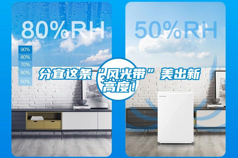 分宜這條“風光帶”美出新高度！