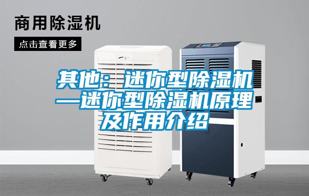 其他：迷你型除濕機—迷你型除濕機原理及作用介紹