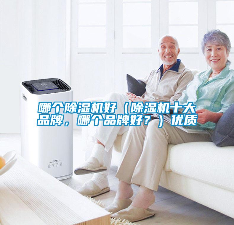 哪個除濕機好（除濕機十大品牌，哪個品牌好？）優質