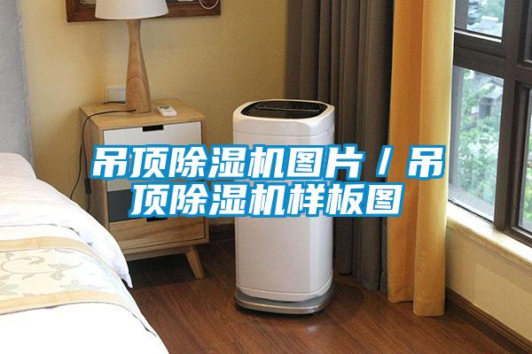 吊頂除濕機(jī)圖片／吊頂除濕機(jī)樣板圖