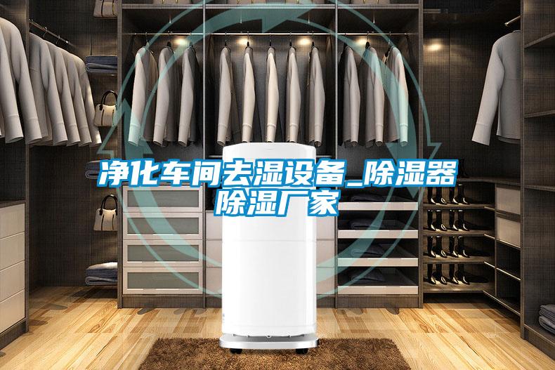 凈化車間去濕設備_除濕器除濕廠家