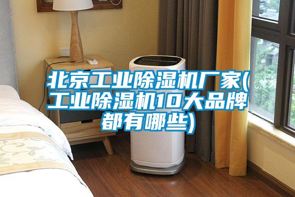 北京工業(yè)除濕機(jī)廠家(工業(yè)除濕機(jī)10大品牌都有哪些)