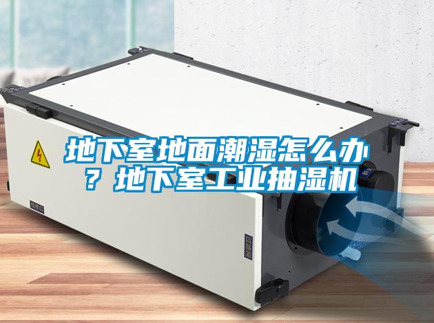 地下室地面潮濕怎么辦？地下室工業抽濕機