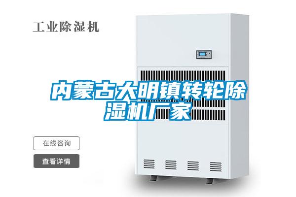 內蒙古大明鎮(zhèn)轉輪除濕機廠家