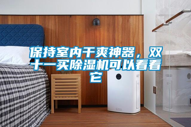 保持室內(nèi)干爽神器，雙十一買除濕機(jī)可以看看它