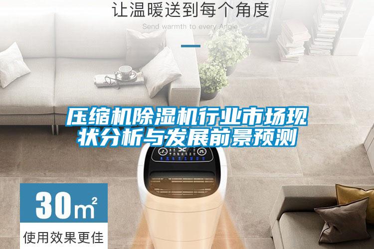 壓縮機除濕機行業(yè)市場現(xiàn)狀分析與發(fā)展前景預(yù)測