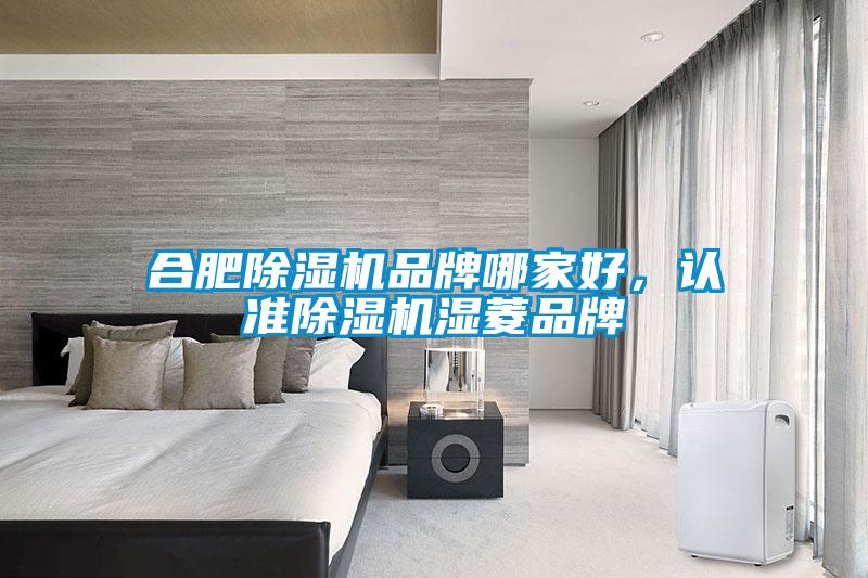 合肥除濕機品牌哪家好，認準除濕機濕菱品牌