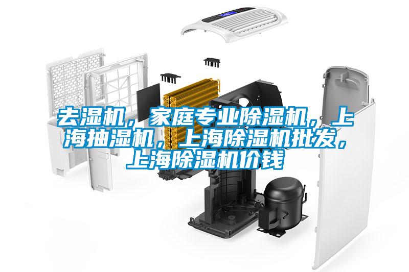 去濕機，家庭專業(yè)除濕機，上海抽濕機，上海除濕機批發(fā)，上海除濕機價錢