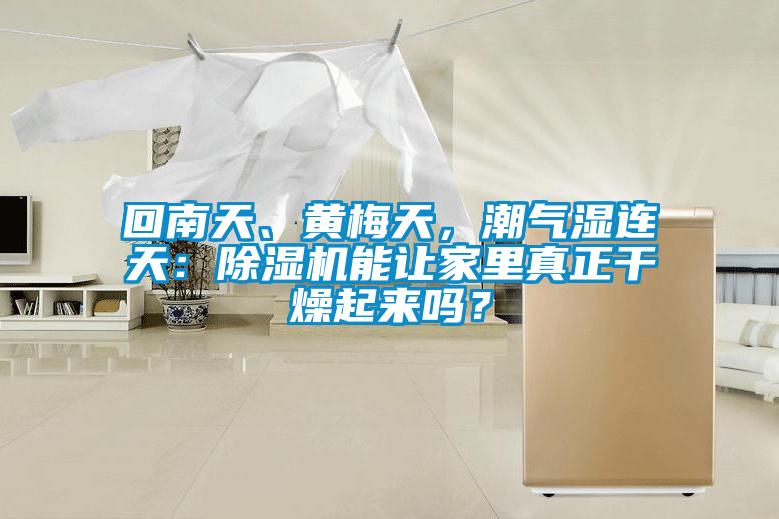 回南天、黃梅天，潮氣濕連天：除濕機能讓家里真正干燥起來嗎？