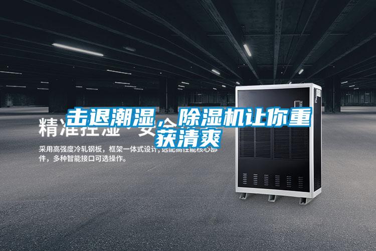 擊退潮濕，除濕機讓你重獲清爽