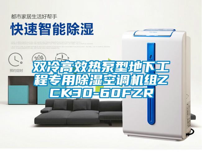 雙冷高效熱泵型地下工程專用除濕空調(diào)機組ZCK30-60FZR
