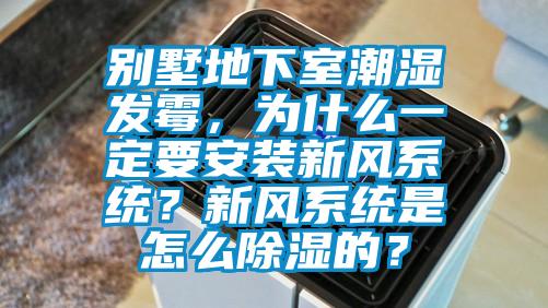 別墅地下室潮濕發霉，為什么一定要安裝新風系統？新風系統是怎么除濕的？