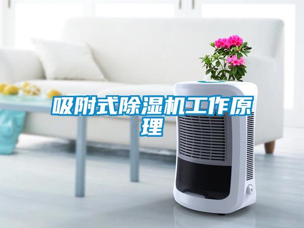 吸附式除濕機工作原理