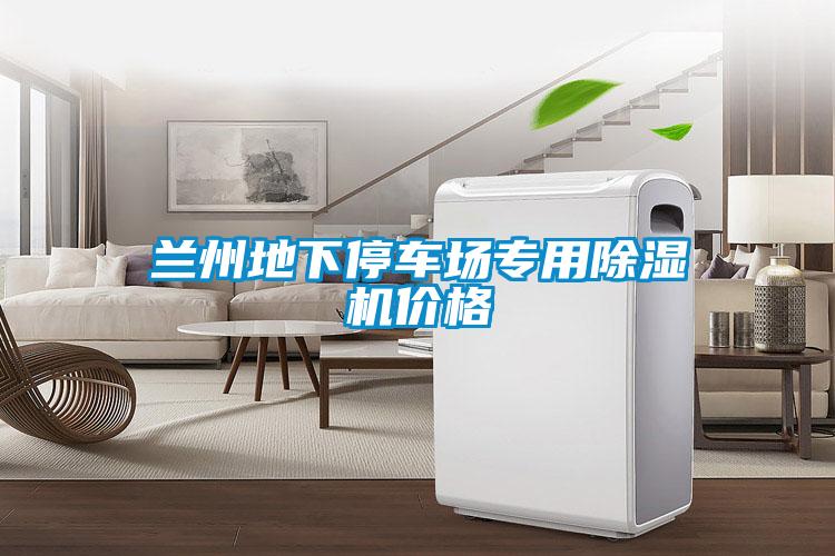 蘭州地下停車場專用除濕機價格