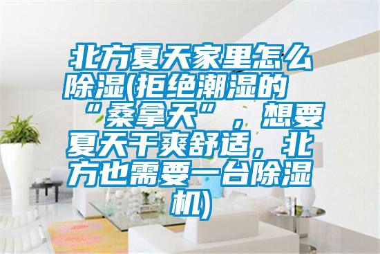 北方夏天家里怎么除濕(拒絕潮濕的“桑拿天”，想要夏天干爽舒適，北方也需要一臺除濕機)