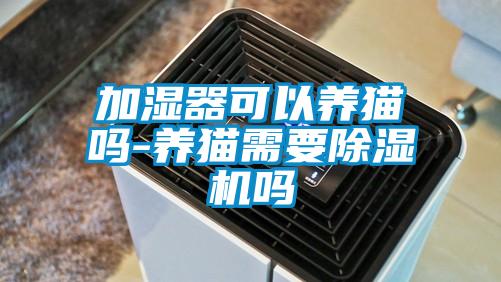 加濕器可以養貓嗎-養貓需要除濕機嗎