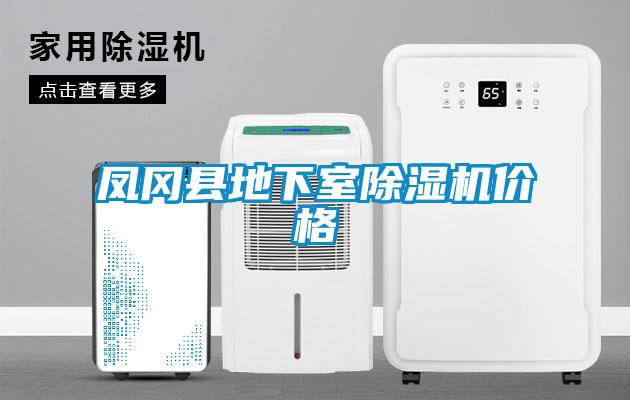 鳳岡縣地下室除濕機價格