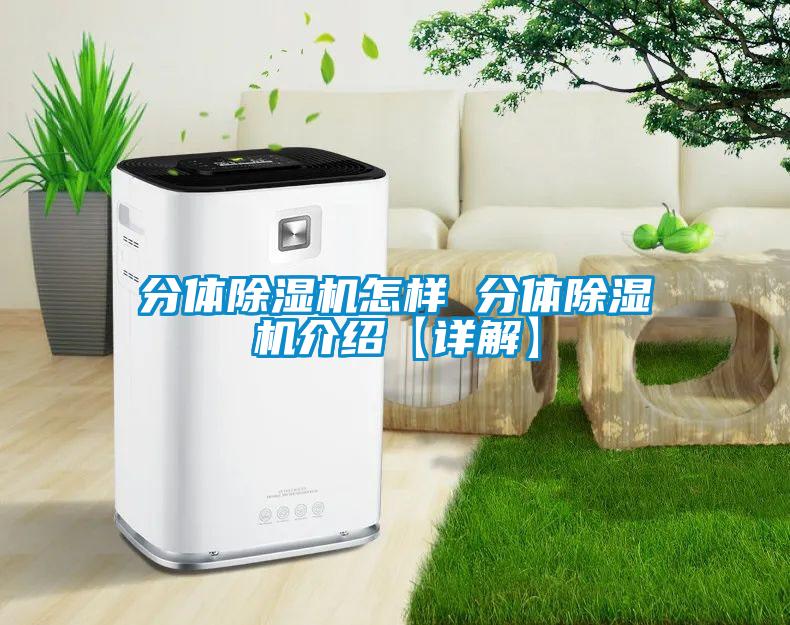 分體除濕機怎樣 分體除濕機介紹【詳解】