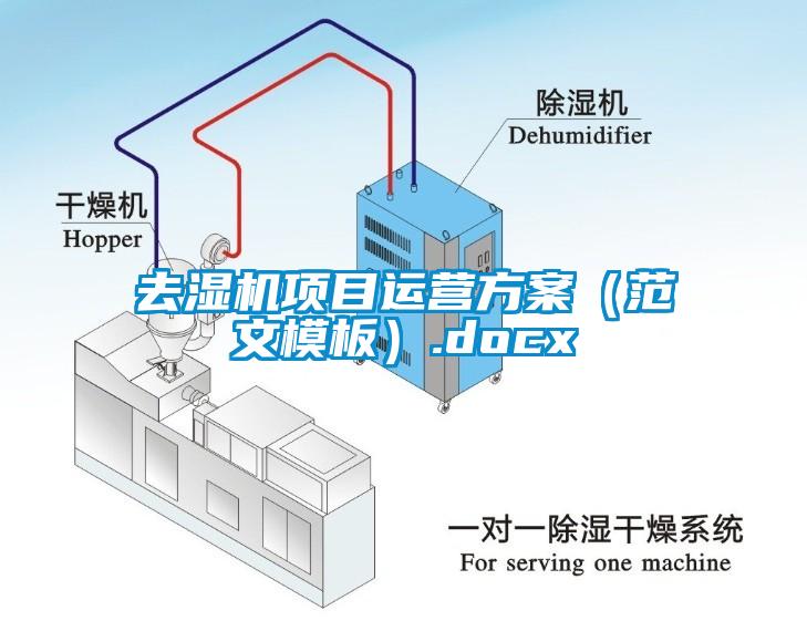 去濕機項目運營方案（范文模板）.docx