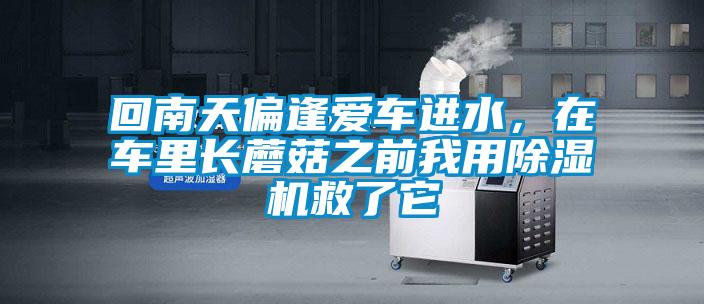 回南天偏逢愛車進水，在車里長蘑菇之前我用除濕機救了它