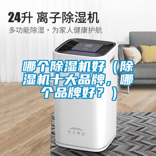 哪個除濕機好（除濕機十大品牌，哪個品牌好？）