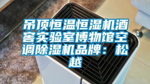 吊頂恒溫恒濕機酒窖實驗室博物館空調除濕機品牌：松越
