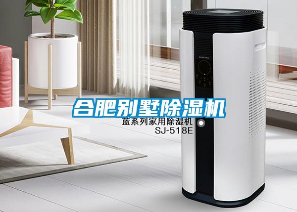合肥別墅除濕機(jī)