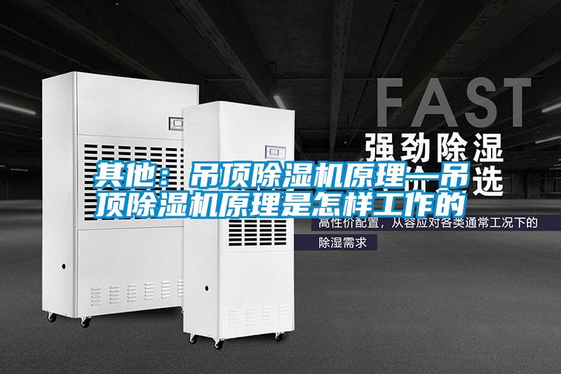 其他：吊頂除濕機原理—吊頂除濕機原理是怎樣工作的