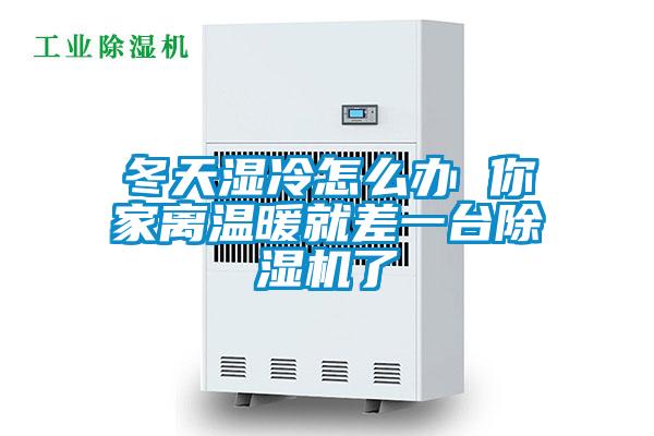 冬天濕冷怎么辦 你家離溫暖就差一臺除濕機了