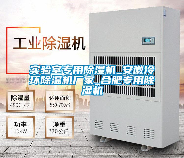實驗室專用除濕機_安徽冷環(huán)除濕機廠家_合肥專用除濕機