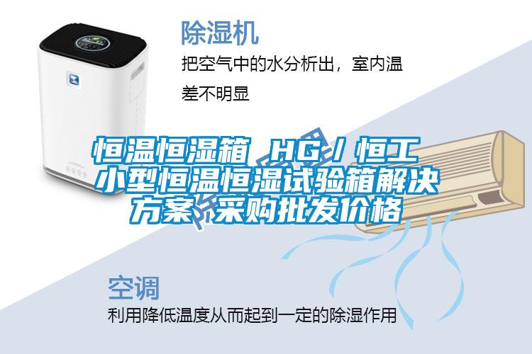 恒溫恒濕箱 HG／恒工 小型恒溫恒濕試驗箱解決方案 采購批發價格