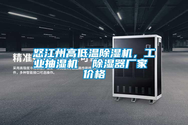 怒江州高低溫除濕機，工業抽濕機  除濕器廠家 價格