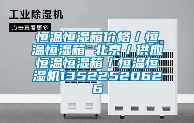 恒溫恒濕箱價格／恒溫恒濕箱 北京／供應恒溫恒濕箱／恒溫恒濕機13522520626