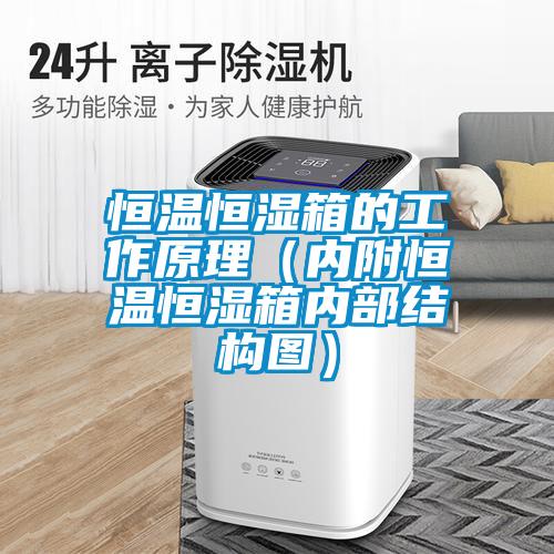 恒溫恒濕箱的工作原理（內附恒溫恒濕箱內部結構圖）
